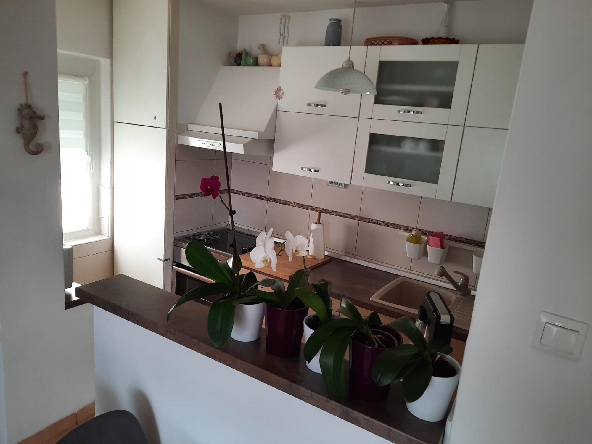 Apartments Anita Crikvenica Bilik gambar